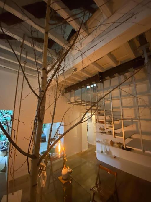 Casa Degli Alberi Lägenhet Turin Exteriör bild