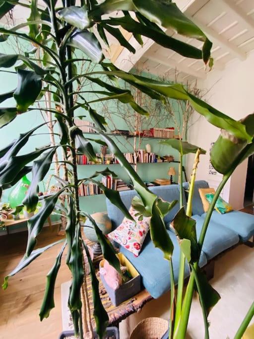 Casa Degli Alberi Lägenhet Turin Exteriör bild